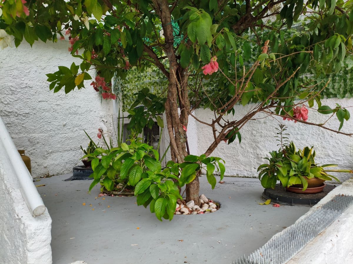 Incrível Casa Triplex em Pedra de Guaratiba  - Miniatura 4